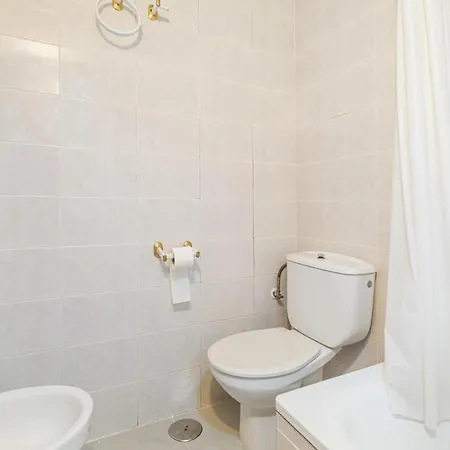 Apartment Pet Friendly In With Kitchen *