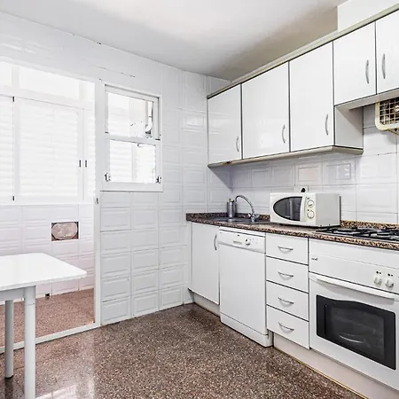 Apartment Pet Friendly In With Kitchen Benidorm