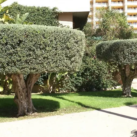 Paraiso 10 Apartamento Benidorm