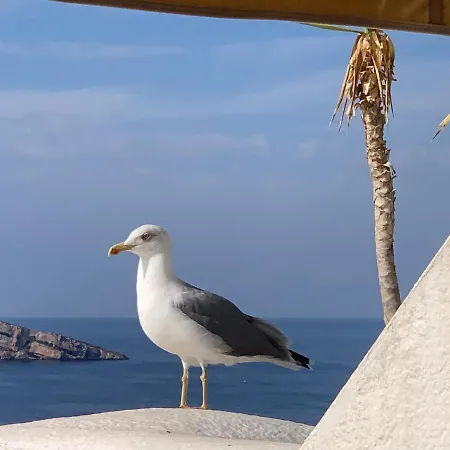 House -sea View-roof Terrace-swimming Pool- * Benidorm