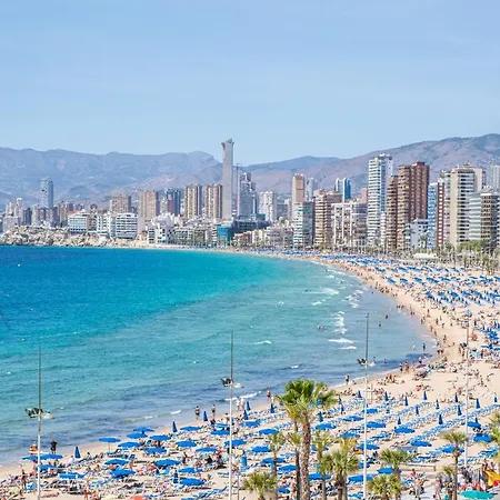 Albatros 13-8 Estudio Levante Apartment Benidorm