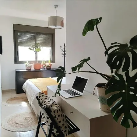 Apartment Refugio Raco Del Conill - Mountain, &