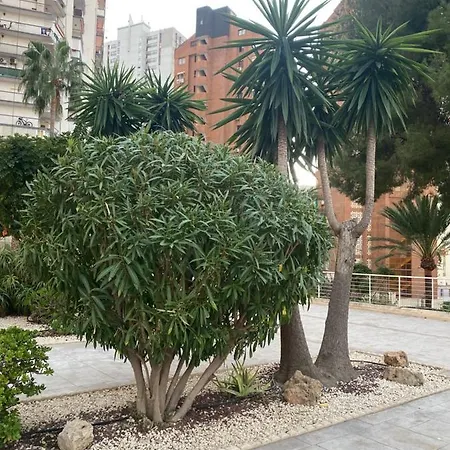Torre Monaco Apartman Benidorm