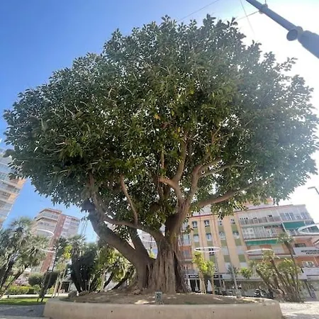 Inmejorable Ubicacion,70m Playa 70m Pueblo Apartment Benidorm