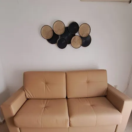 Pisos De Concha