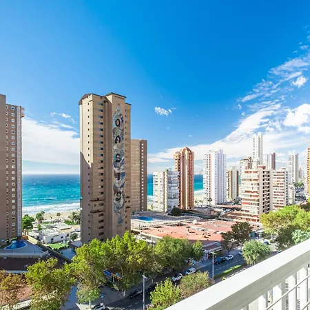 Albatros 14-10 Benidorm
