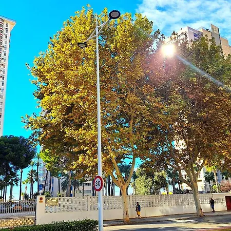 Damas - 23 B, Primera Linea, Playa Levante Benidorm
