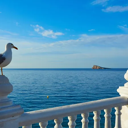 Refugio Raco Del Conill - Mountain, & Apartment Benidorm