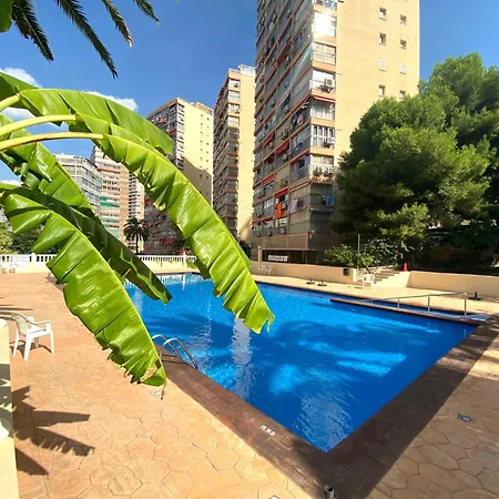 Don Miquel I-21 Benidorm