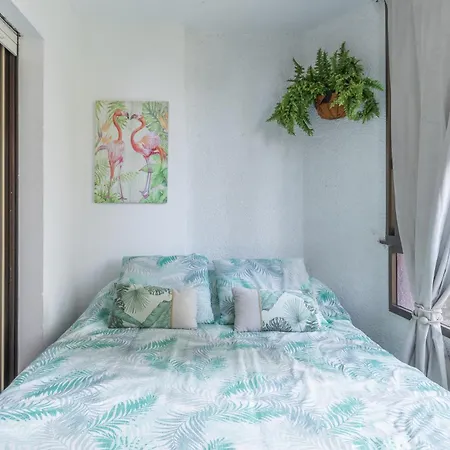 Apartamento Apartamento Mariscal *
