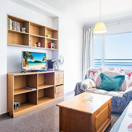 Apartment Pet Friendly In With Kitchen