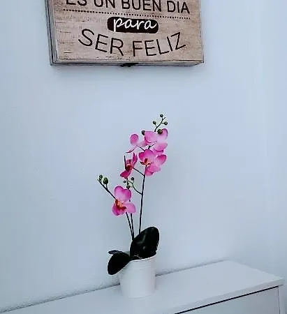 Viena Vi Apartment Benidorm
