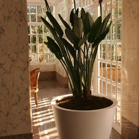 Apartment Maria Victoria *