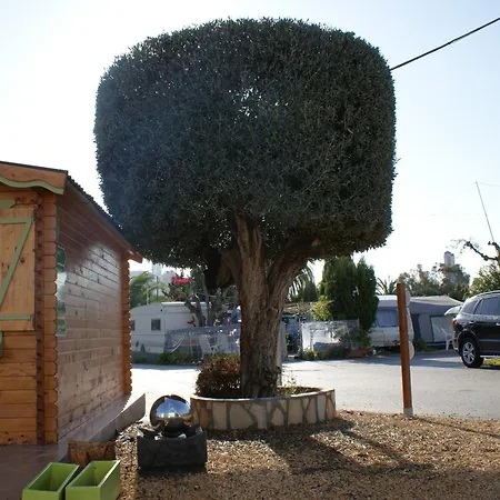 Campsite Armanello 3*