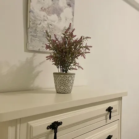 Apartment Calle Gambo *