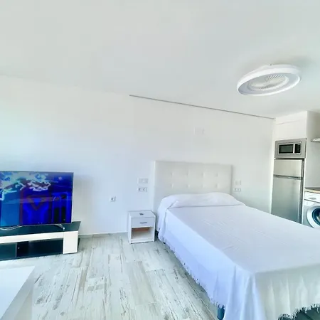 Apartment Penthouse Playmon Park