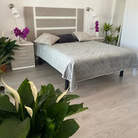 Apartamento Anna Benidorm