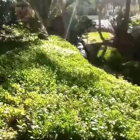 Nuevo Apto Hasta 6 Personas Muy Cerca De Playa Levante Con Jardines Y Gran Piscina , Pista De Tennis Y Futbol Deportes Y Zona Infantil ,en Urbanizacion Con Parking Apartment *