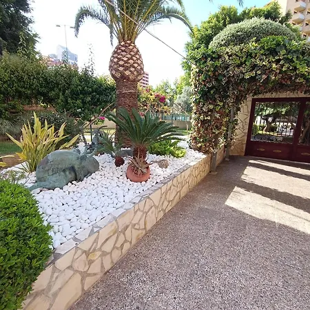 Mobydick 5 Benidorm
