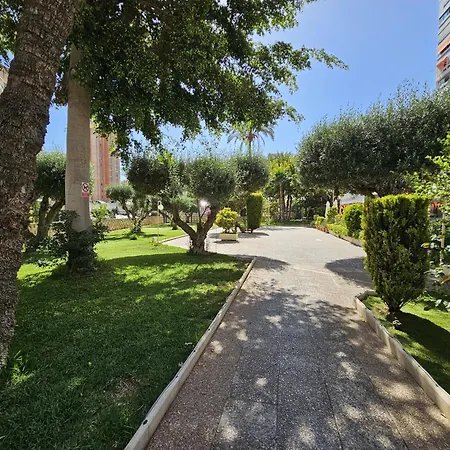 Apartment Cervantes If Benidorm
