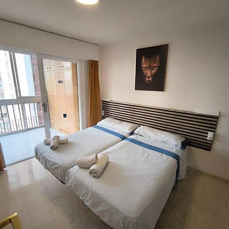 Apartment Oca 93 *