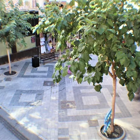 Alameda 31-1a Centro Apartment