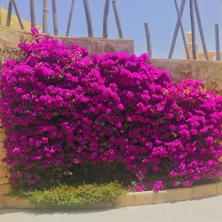 With Panoramic Sea Views Villa Benidorm