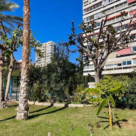 Relax Y Confort, Reformado Con Piscina Apartamento