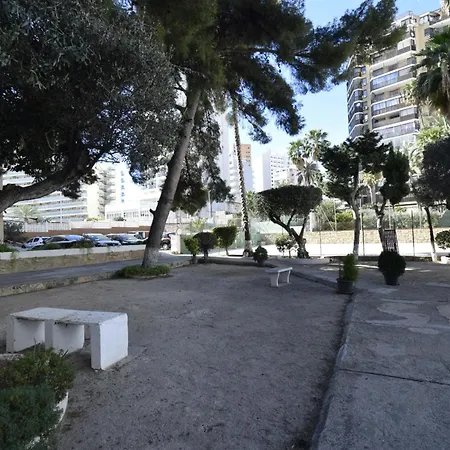 Dona 2 10-5 - Arena