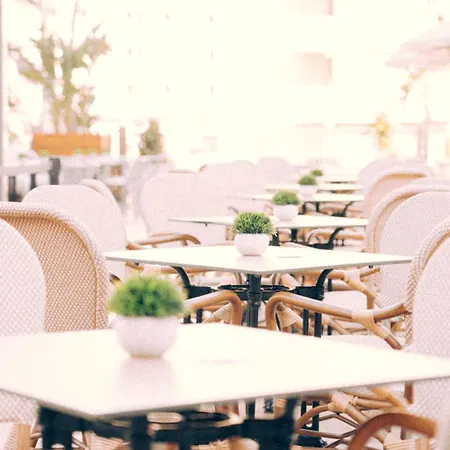 Marina - The Original Vibe Hotel