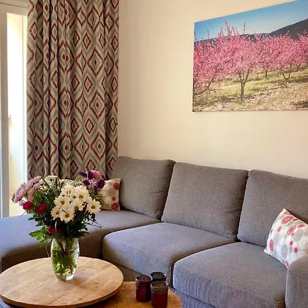 2 Kamer Appartement Comfort شقة بينايدورم