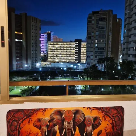 Apartment Magic Summer *