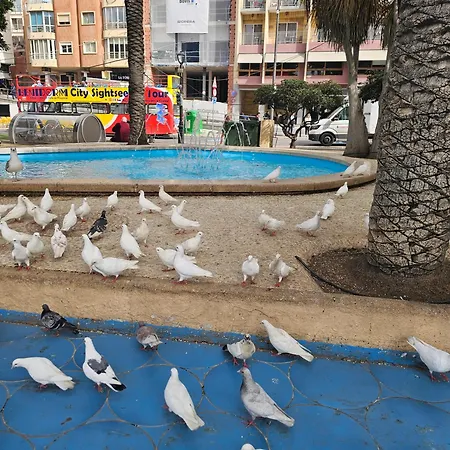 Pescadores If Apartment Benidorm
