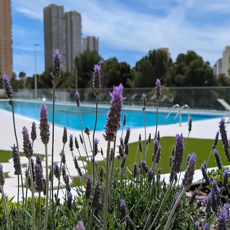 Eagle Tower Sweet Apartment Benidorm