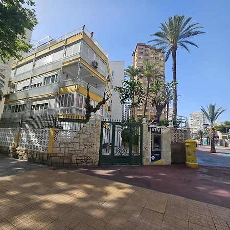 El Junco If * Benidorm