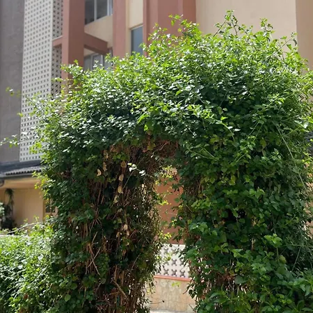 Maysan Apartment *