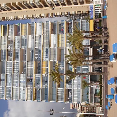 Palmeras -