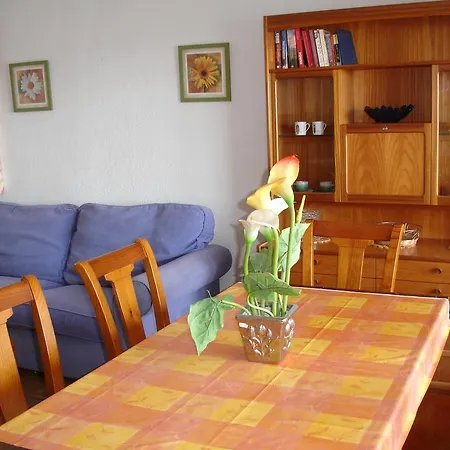 Apartment Palmeras - Benidorm
