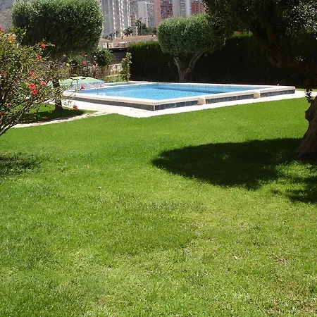 Los Olivos *
