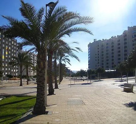Apartment Cala Alta