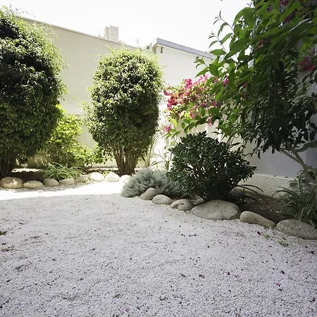 Apartment Coblanca 41 - Beninter