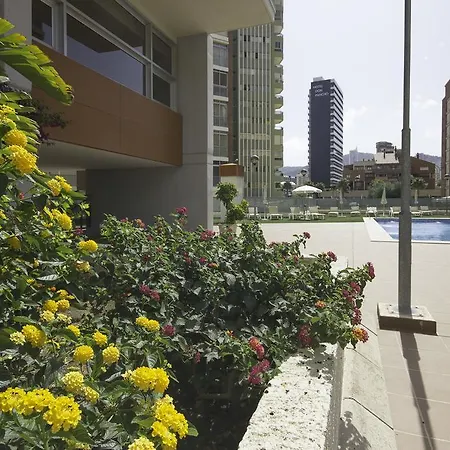 Apartment Coblanca 41 - Beninter