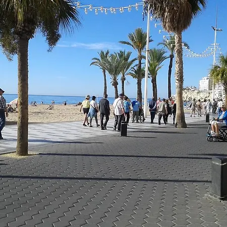 Apartment Rex Benidorm