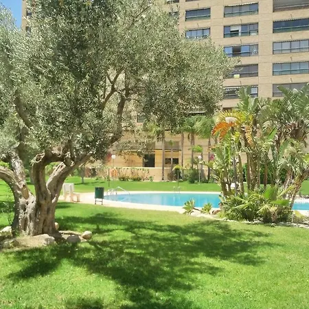 Apartment Apartamento Coblanca 32 Benidorm