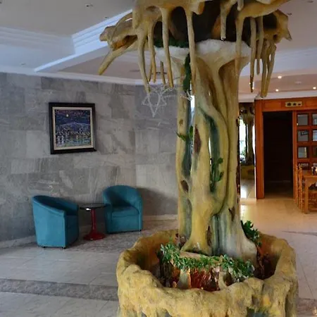 Kaktus Benikaktus Hotel