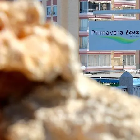 Primavera Loix * Benidorm