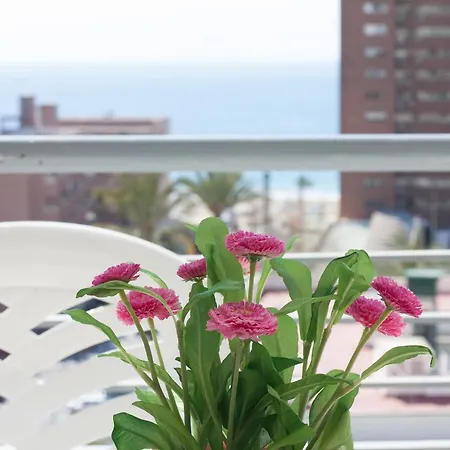 Niza Apartment