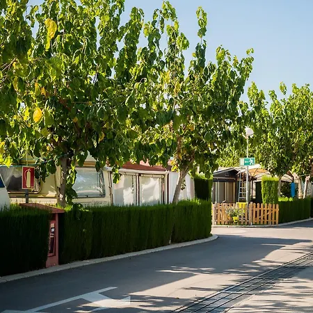 Campsite Camping Raco Benidorm