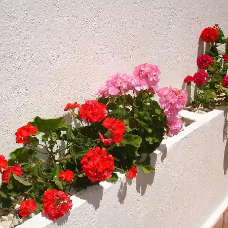 Terraced House - Zand Properties Apartment *