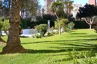 Gemelos Iv - Arena *